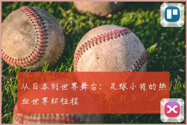 从日本到世界舞台：足球小将的热血世界杯征程